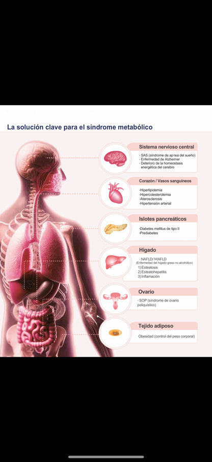Progsterol