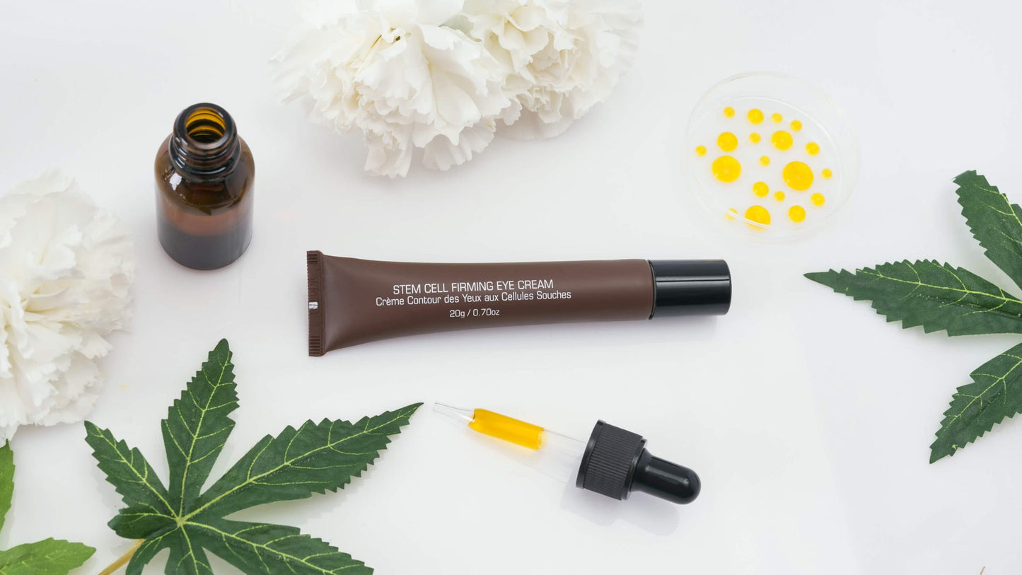 Stem Cell Firming Eye Cream INTROSTEM