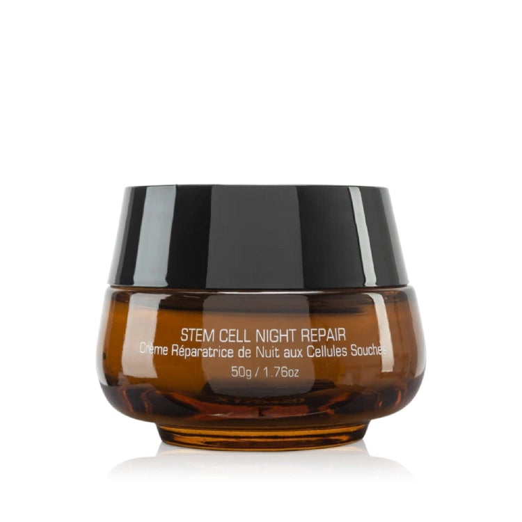 Introstem Stem Cell Night Repair | Mare Perfect Skin