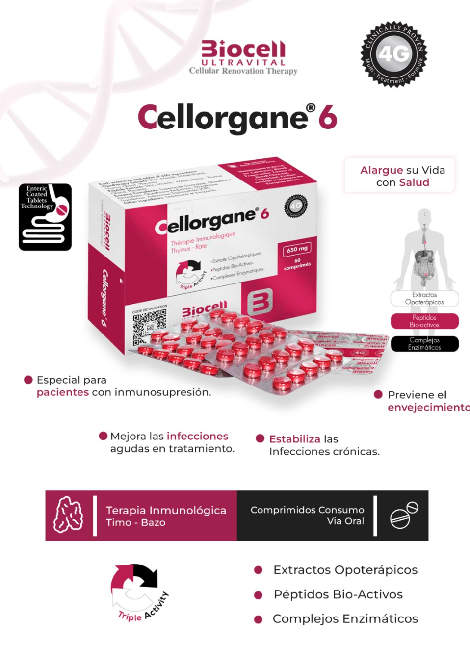 Cellorgane 6 Inmunoterapia Biocell Ultravital
