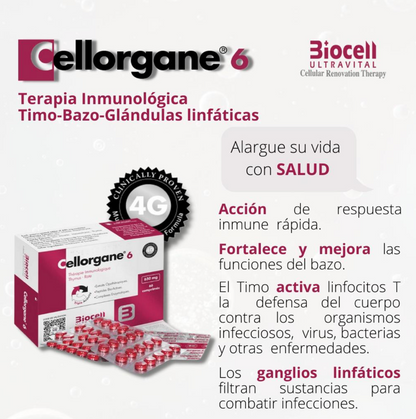 Cellorgane 6 Inmunoterapia Biocell Ultravital