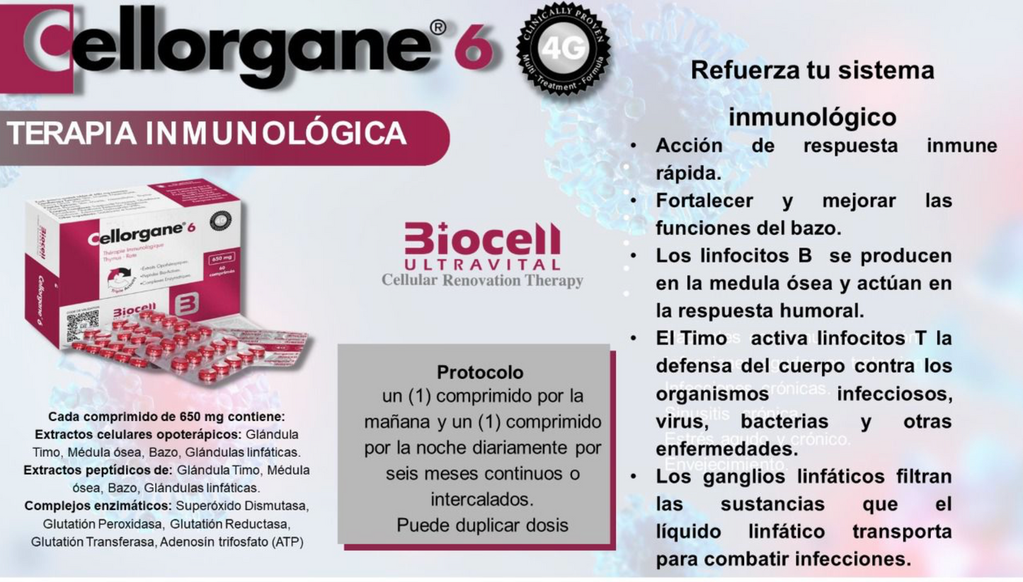 Cellorgane 6 Inmunoterapia Biocell Ultravital