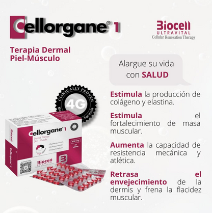 Cellorgane 1 Dermal Piel-Musculo Biocell Ultravital