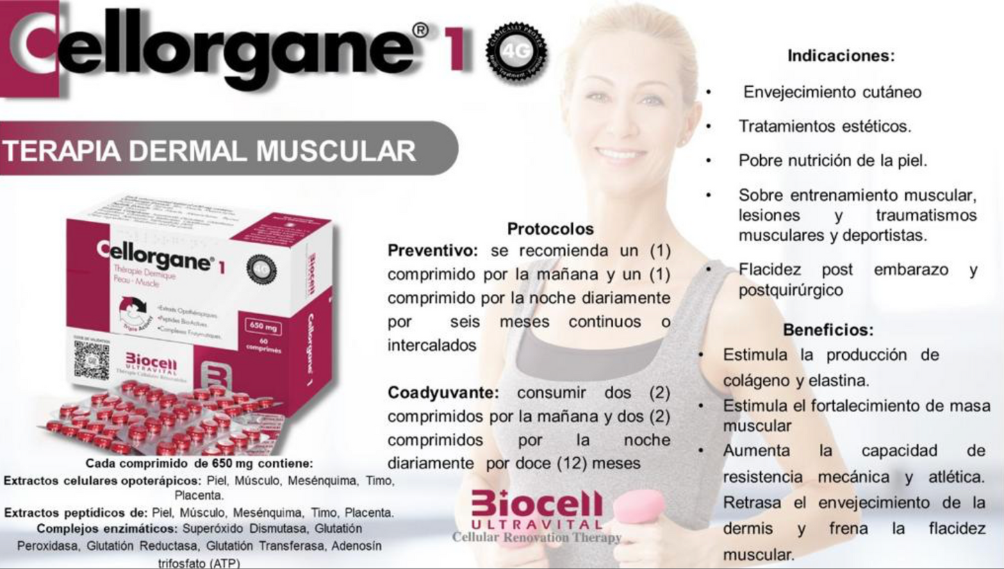 Cellorgane 1 Dermal Piel-Musculo Biocell Ultravital