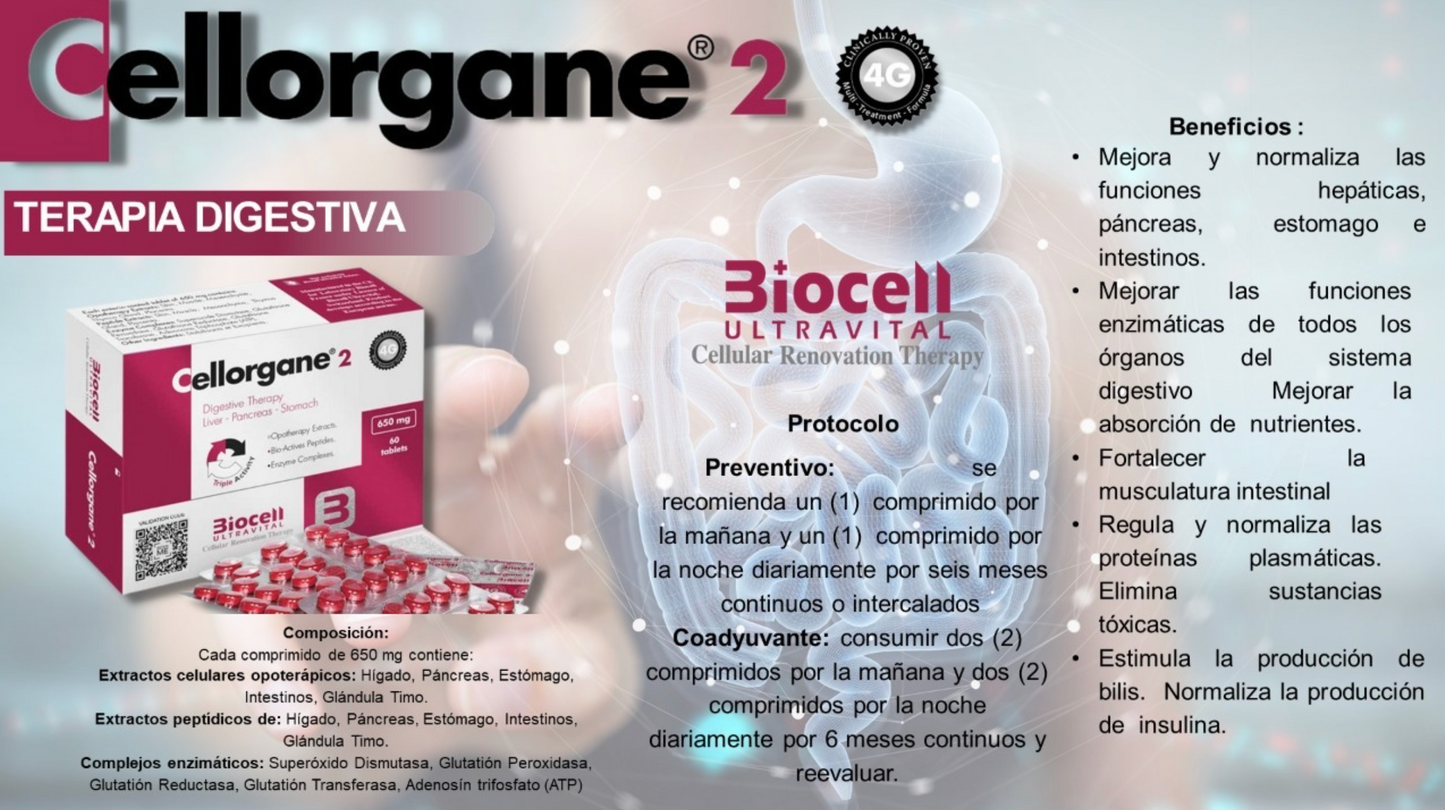 Cellorgane 2 Digestivo-Pancreas-Estómago-Higado Biocell Ultravital