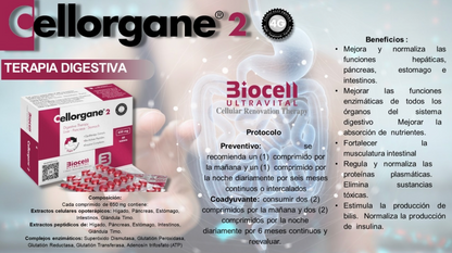 Cellorgane 2 Digestivo-Pancreas-Estómago-Higado Biocell Ultravital