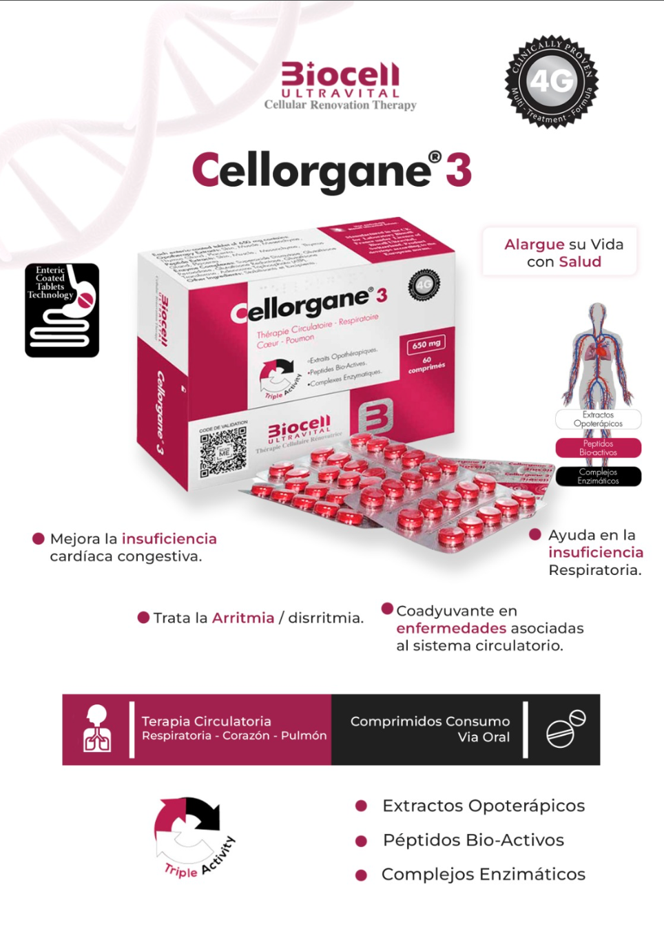 Cellorgane 3 Circulatorio Respiratorio- Corazon- Pulmon Biocell Ultravital