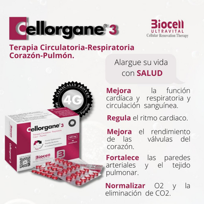 Cellorgane 3 Circulatorio Respiratorio- Corazon- Pulmon Biocell Ultravital