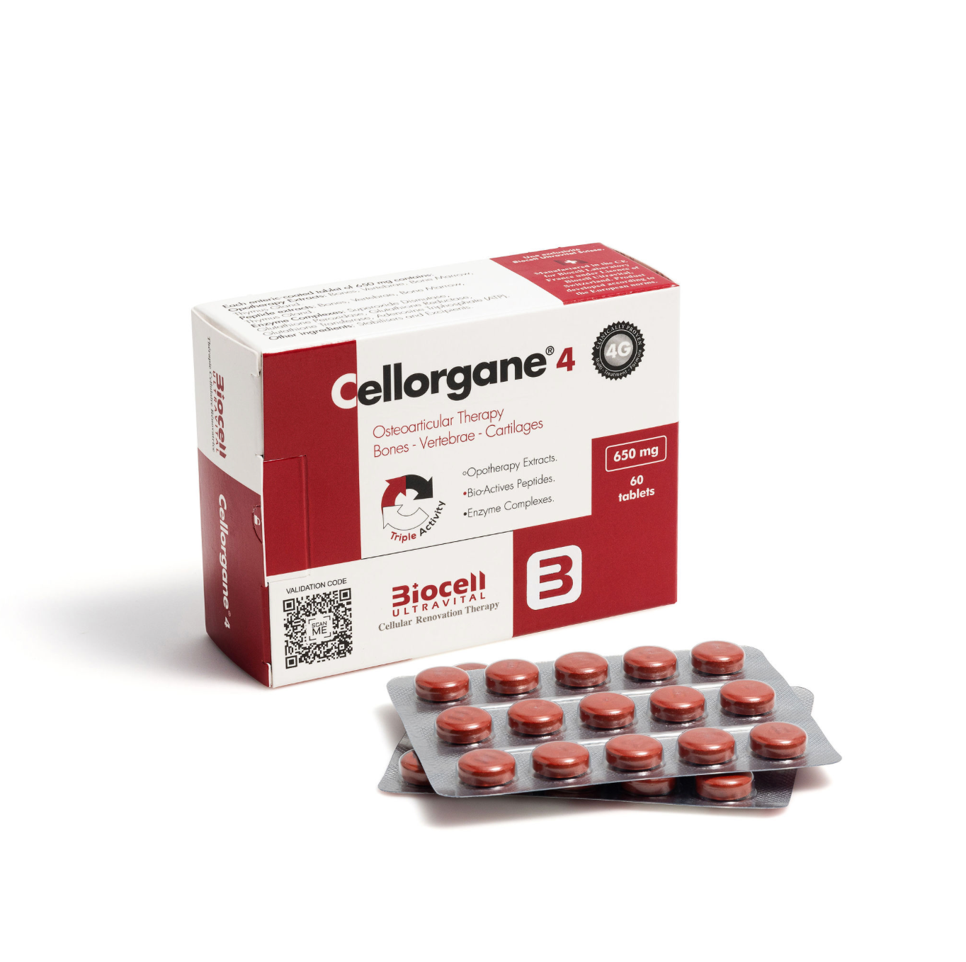 Cellorgane 4 Osteo-Articular Biocell Ultravital