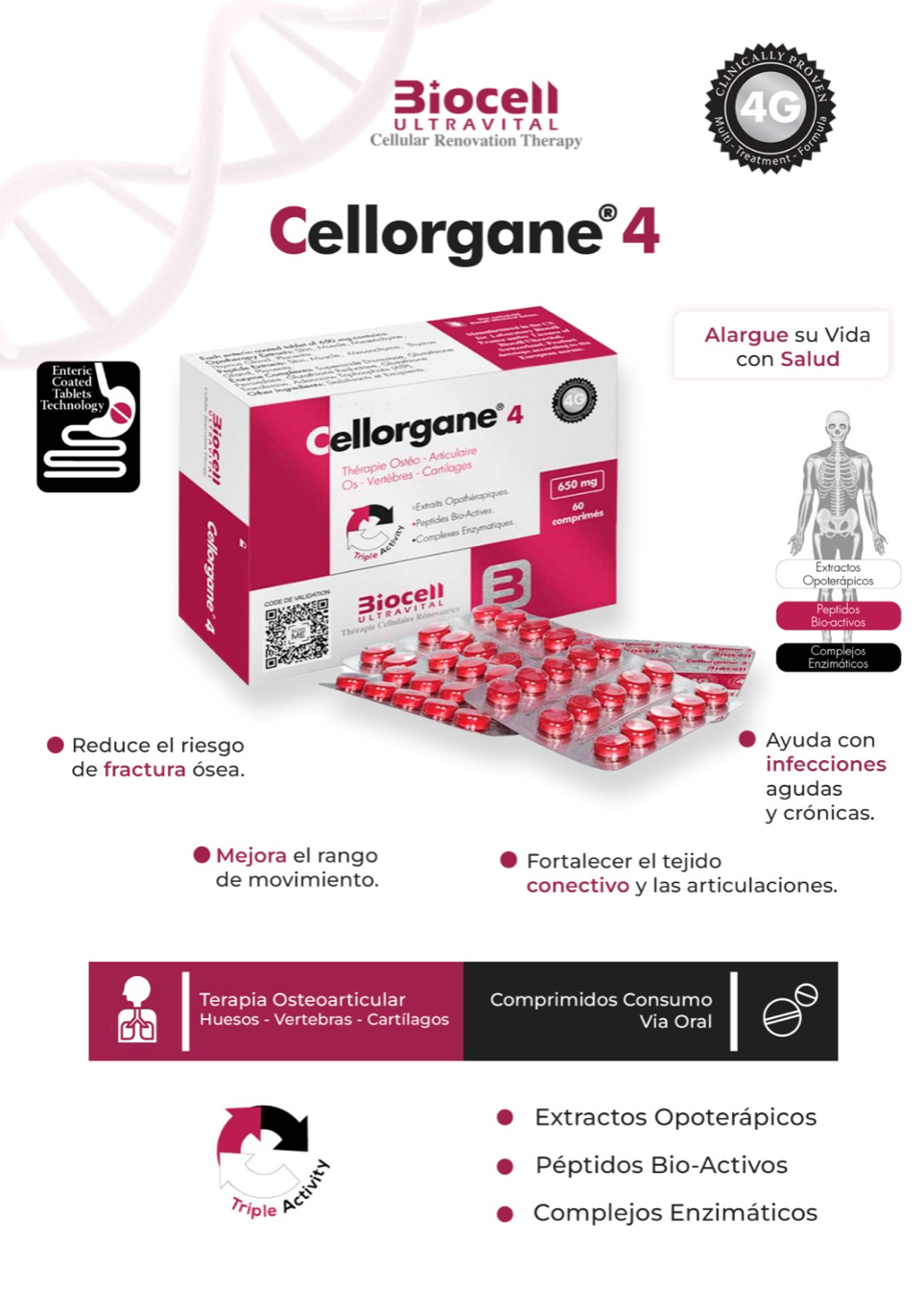 Cellorgane 4 Osteo-Articular Biocell Ultravital
