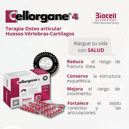 Cellorgane 4 Osteo-Articular Biocell Ultravital