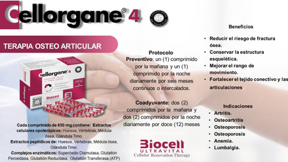 Cellorgane 4 Osteo-Articular Biocell Ultravital