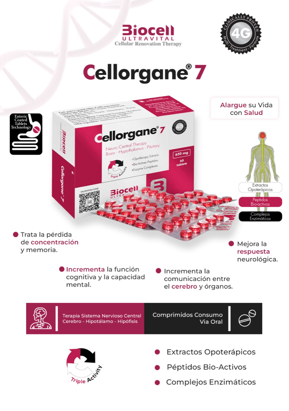 Cellorgane 7 Nervioso-Central Biocell Ultravital