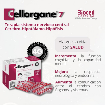 Cellorgane 7 Nervioso-Central Biocell Ultravital