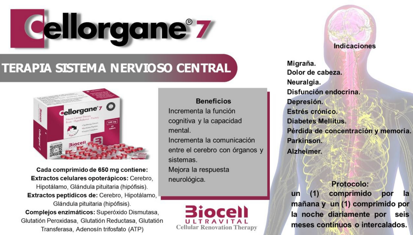 Cellorgane 7 Nervioso-Central Biocell Ultravital