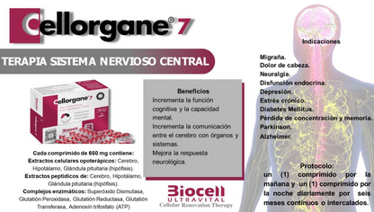 Cellorgane 7 Nervioso-Central Biocell Ultravital