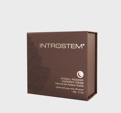 Introstem Stem Cell Night Repair