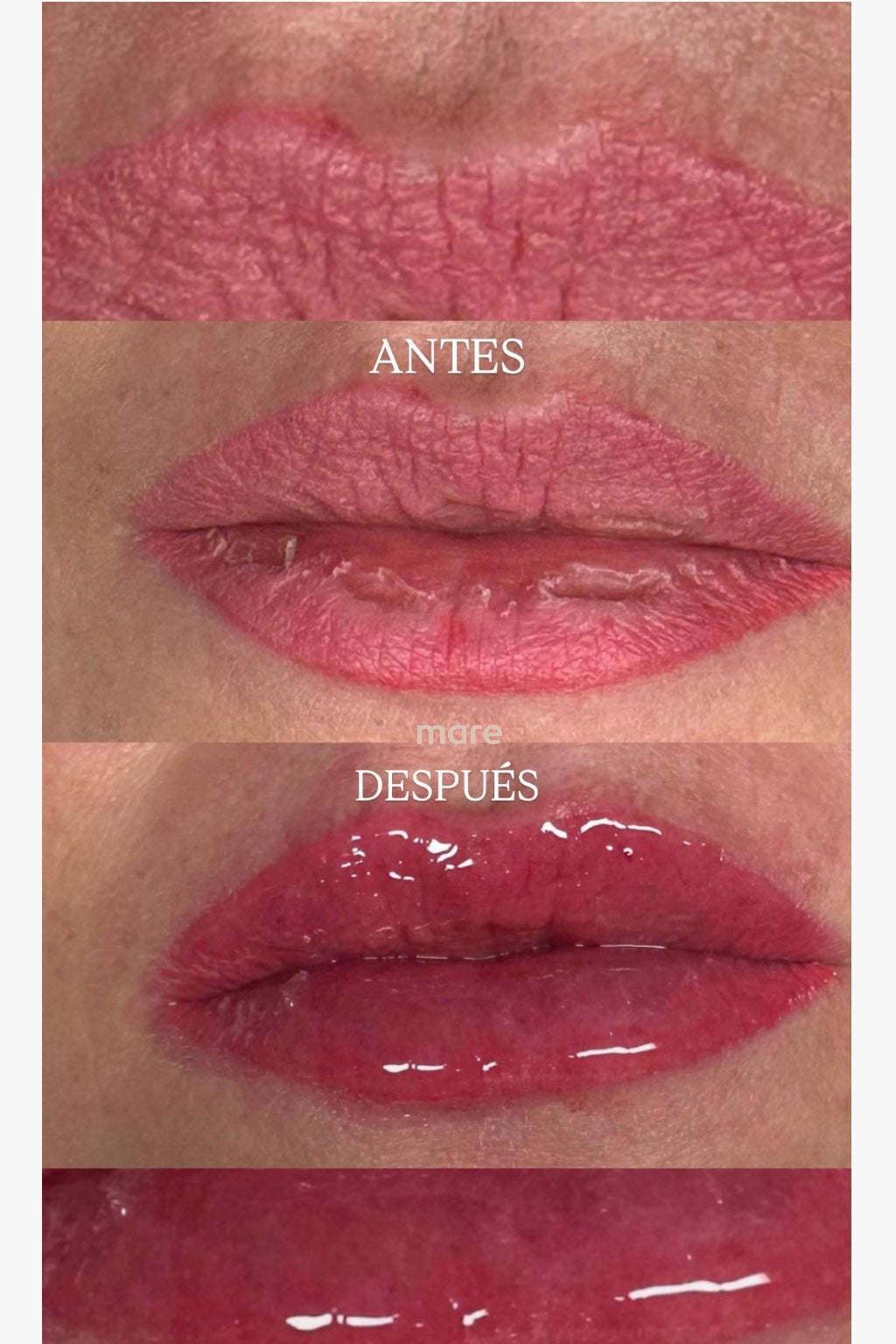 GLOSSY LIPS