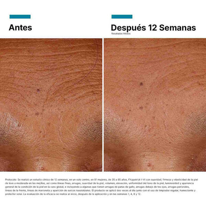 HA Intensifier Multi-Glycan Skin Ceuticals